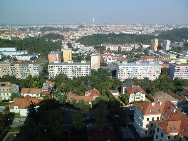 img00014.jpg