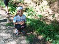 thn00044.jpg