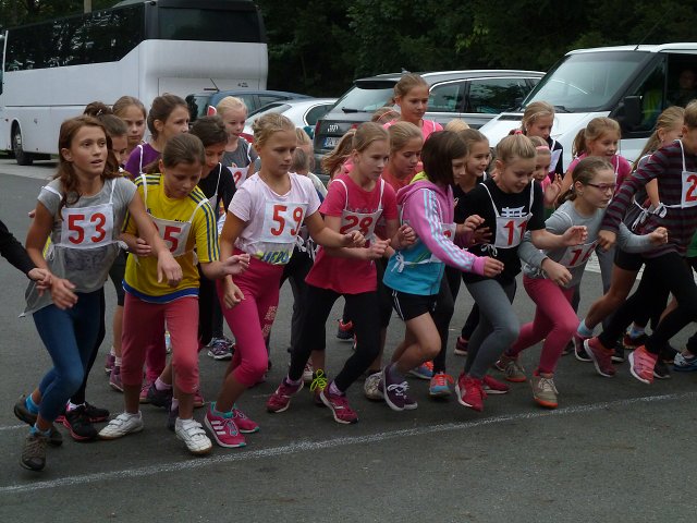 img00005.jpg