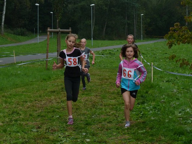img00008.jpg