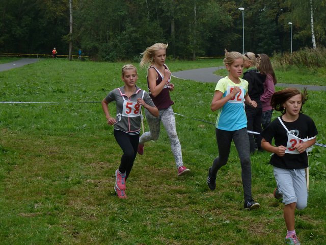 img00033.jpg