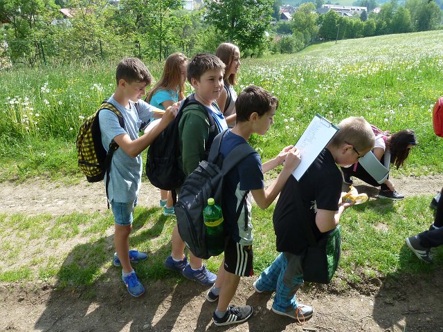 img00005.jpg