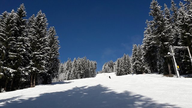 img00033.jpg