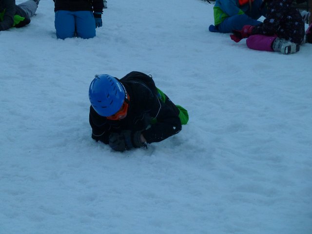 img00247.jpg