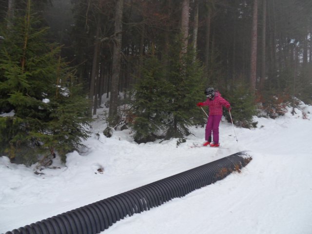 img00135.jpg
