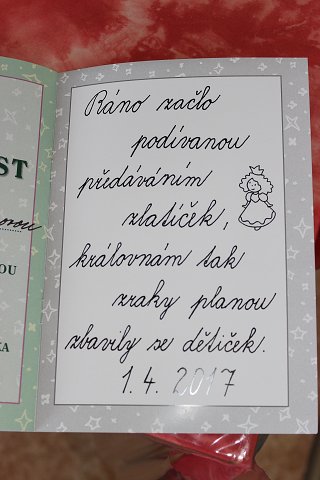 img00208.jpg