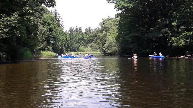 img00005.jpg