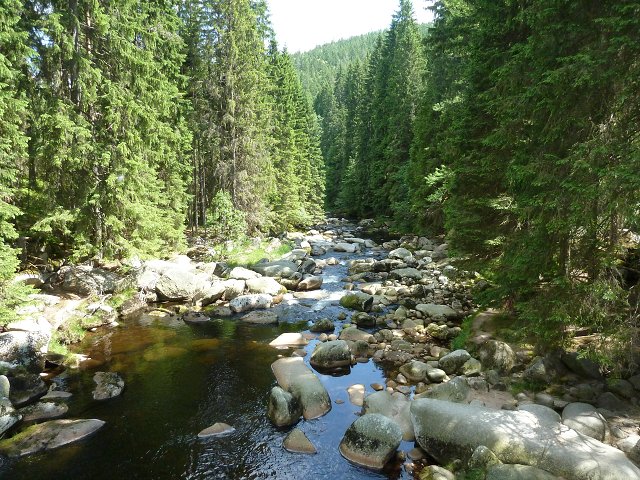 img00002.jpg