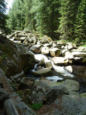 img00003.jpg