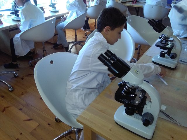 img00036.jpg
