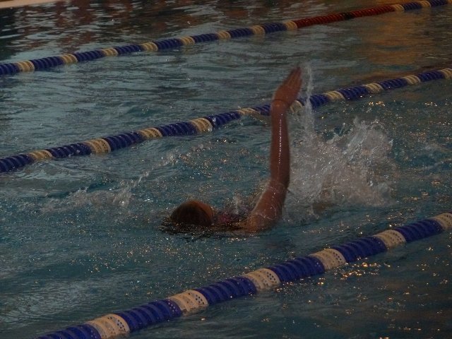 img00022.jpg