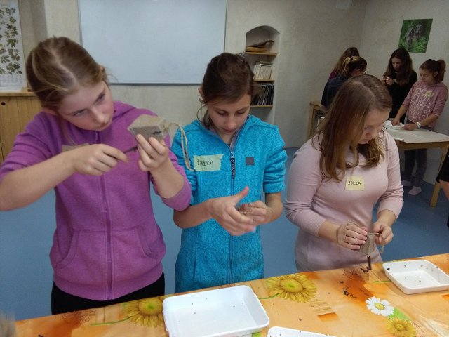 img00013.jpg