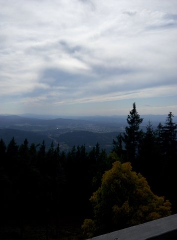 img00031.jpg