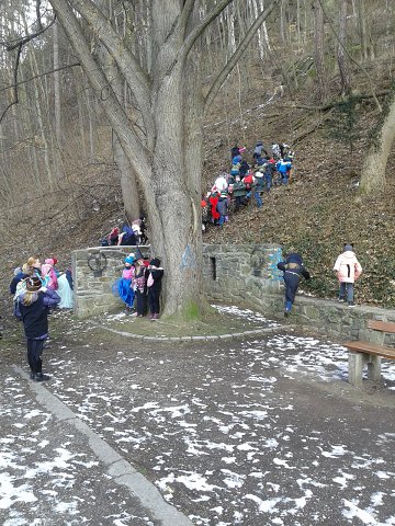 img00008.jpg