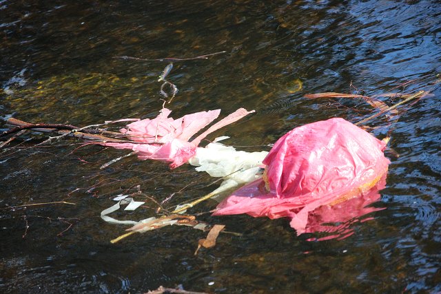 img00043.jpg