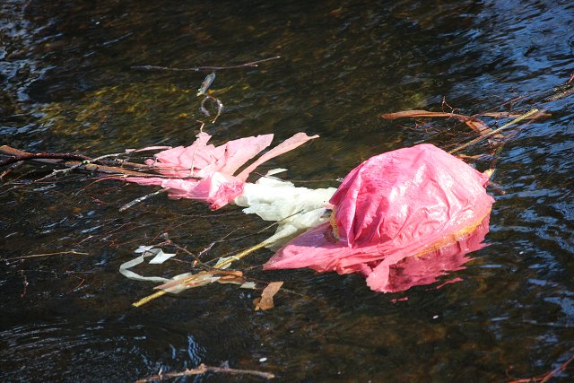 img00044.jpg