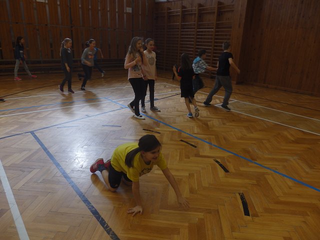 img00036.jpg