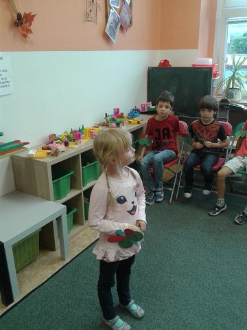 img00037.jpg
