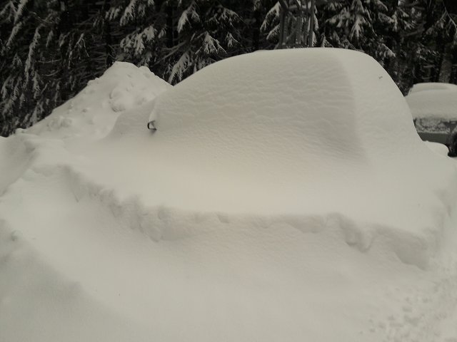 img00022.jpg