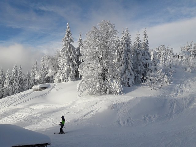 img00036.jpg
