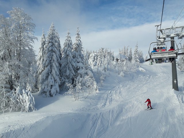 img00037.jpg