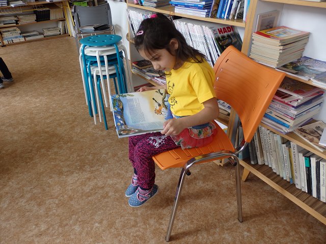 img00077.jpg