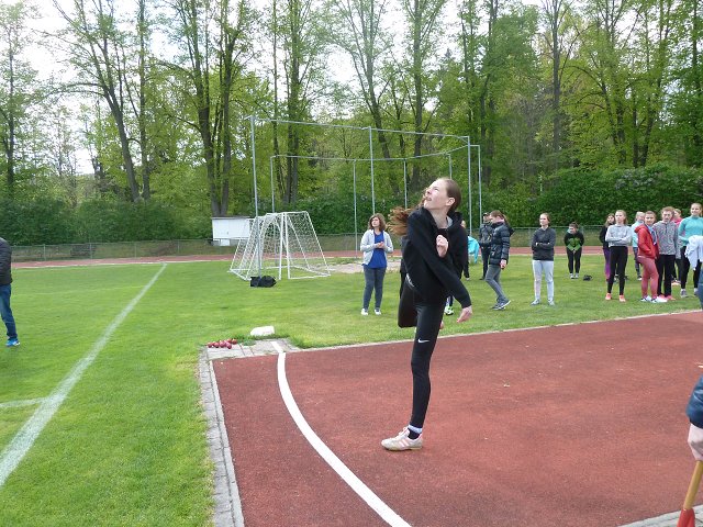 img00028.jpg