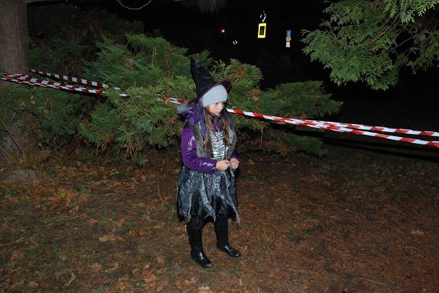 img00007.jpg
