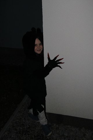 img00074.jpg