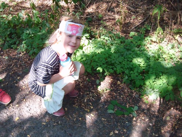 img00039.jpg