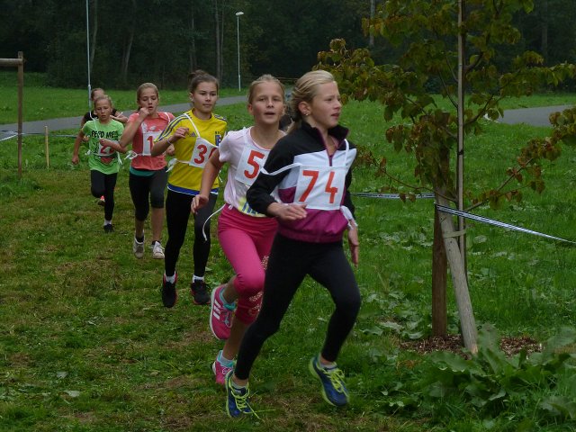 img00007.jpg