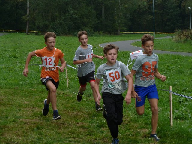 img00015.jpg