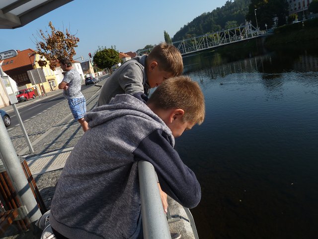 img00009.jpg