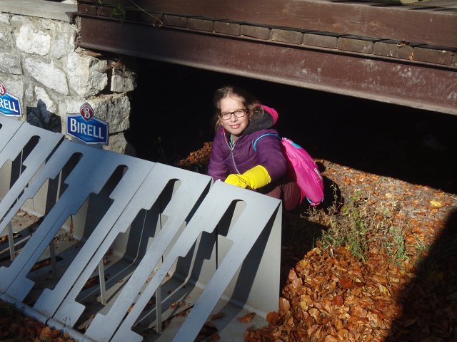 img00010.jpg