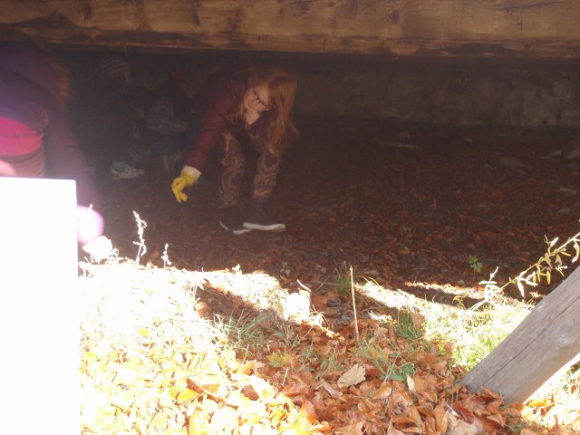 img00011.jpg