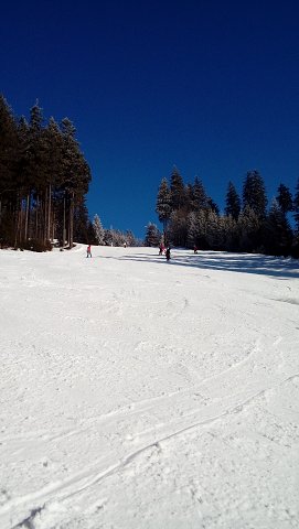 img00008.jpg
