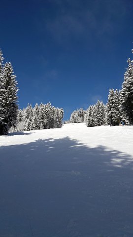 img00032.jpg