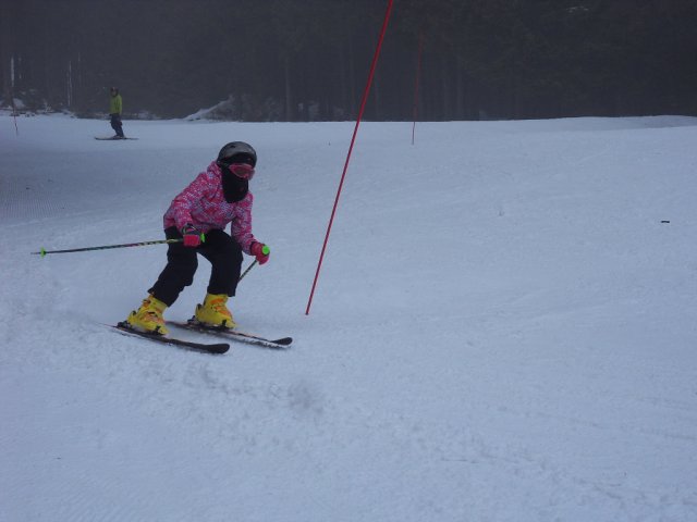 img00085.jpg