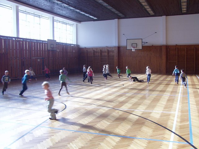 img00037.jpg