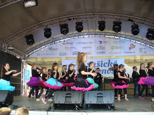 img00061.jpg