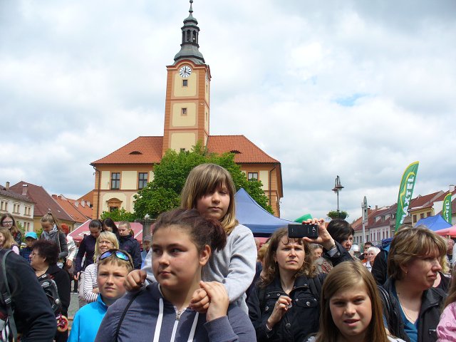 img00074.jpg