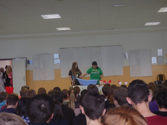 img00005.jpg