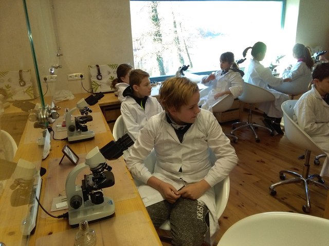 img00033.jpg