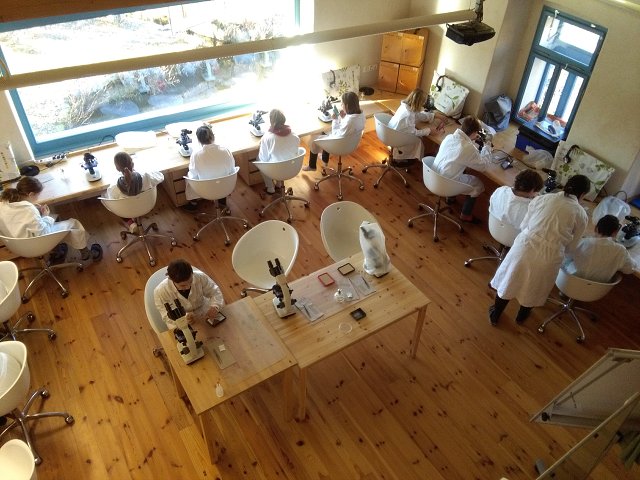 img00034.jpg