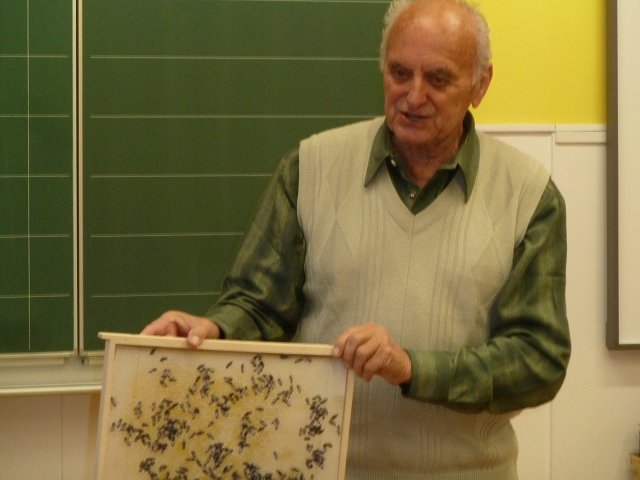 img00008.jpg