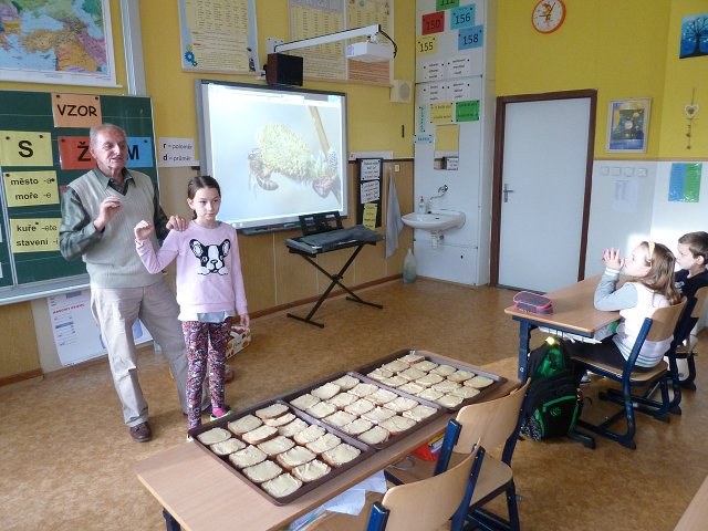 img00016.jpg
