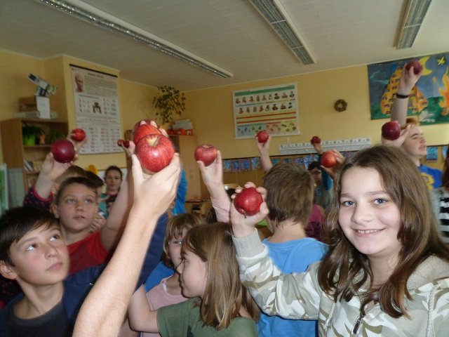 img00033.jpg