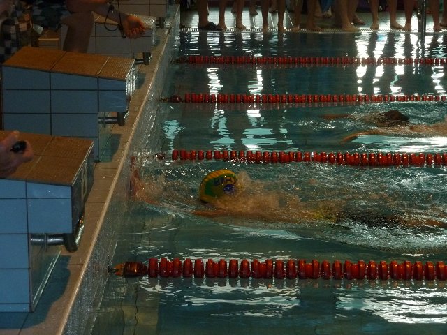 img00029.jpg