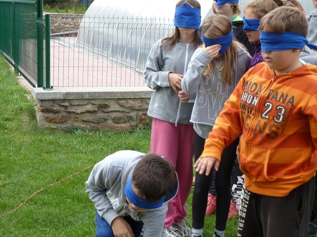 img00020.jpg