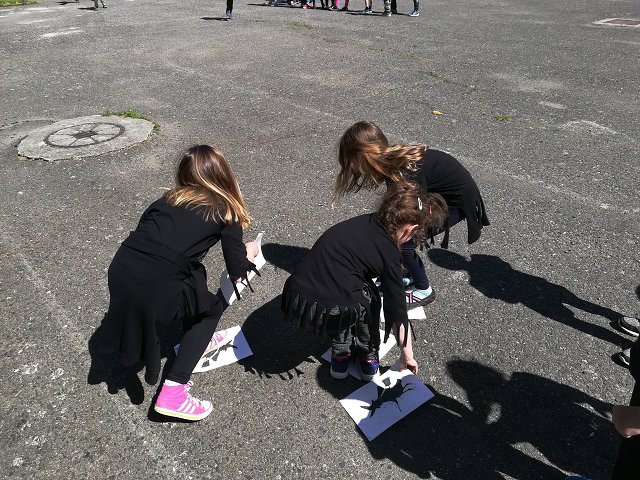 img00021.jpg